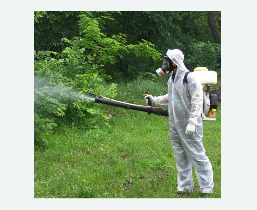 обработка территории от клещей в Тихвине