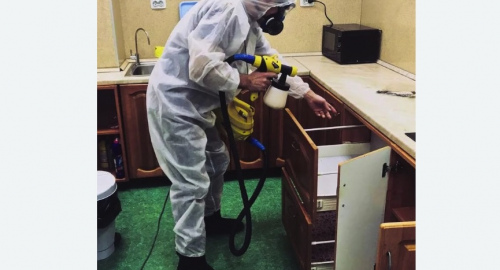 Дезинсекция квартиры. Тихвин
