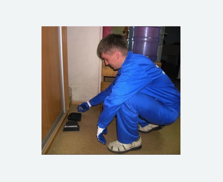 Дератизация крыс в Тихвине