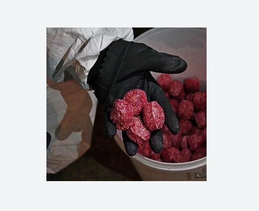 Обработка от крыс в Тихвине