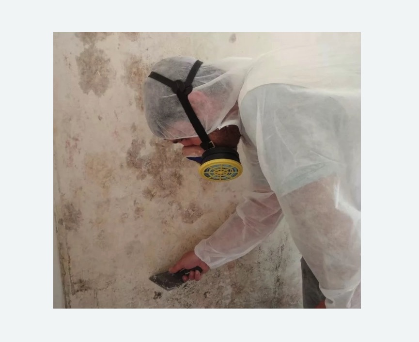 Обработка стен от плесени в Тихвине