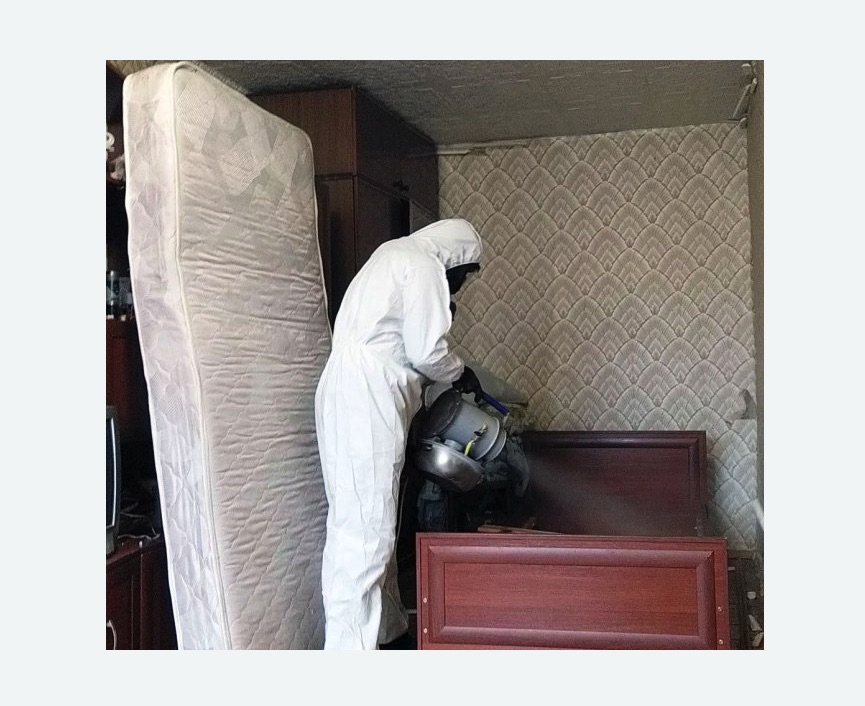 дезинфекция от клопов в Тихвине