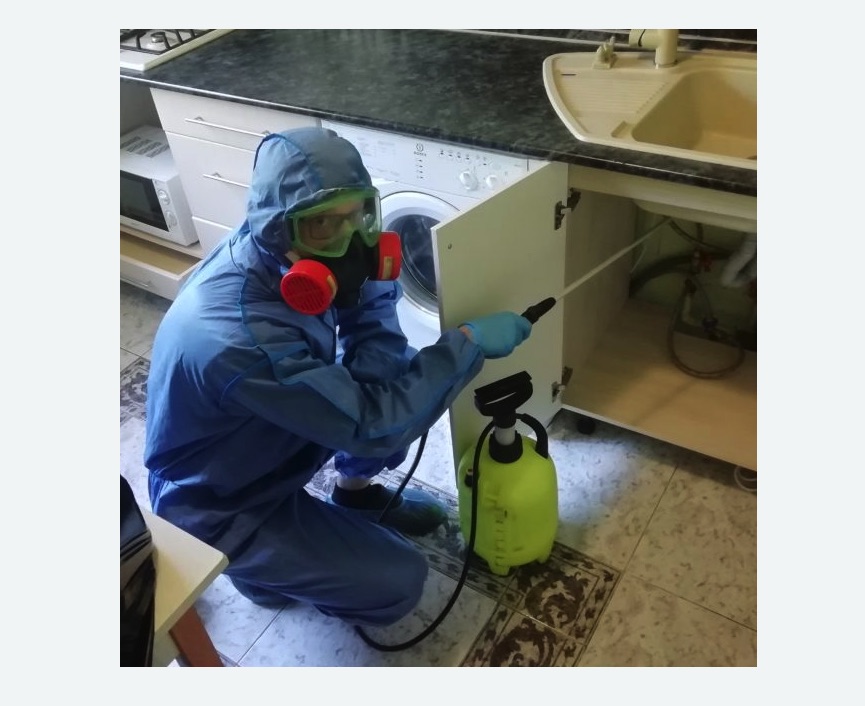 обработка от муравьев в квартире в Тихвине