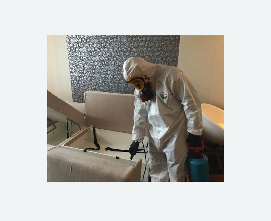 уничтожение клопов в квартире в Тихвине