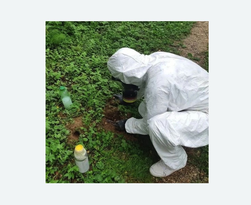 уничтожение кротов на участке в Тихвине