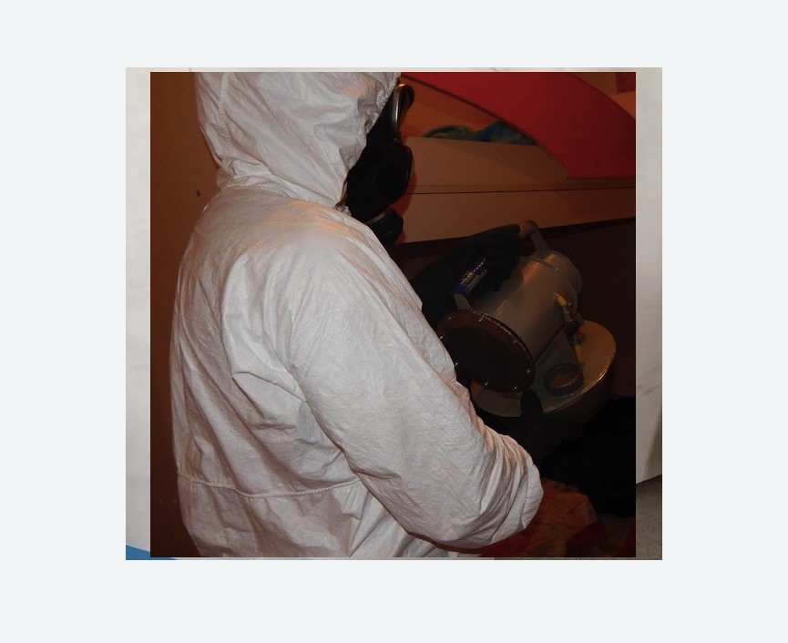 Дезинфекция от муравьев в Тихвине