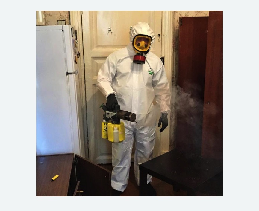 уничтожение муравьев в квартире в Тихвине